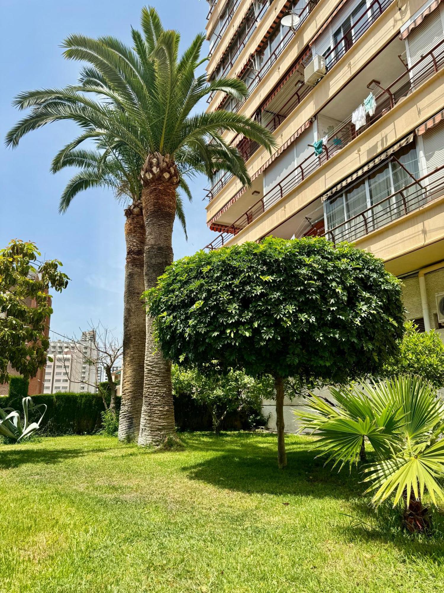 Apartment Piscis Benidorm Exterior foto